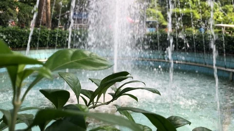 The fountain Stock Footage 110620442