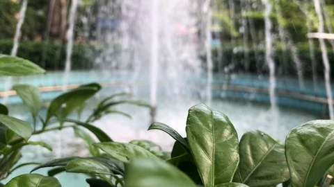 The fountain Stock Footage 110620487