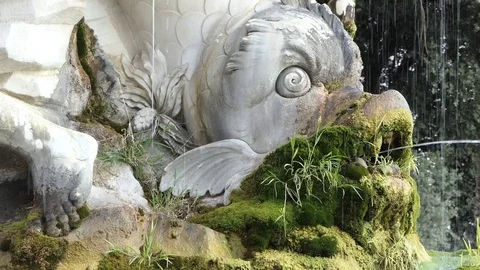 Fountain Video stock 128447354