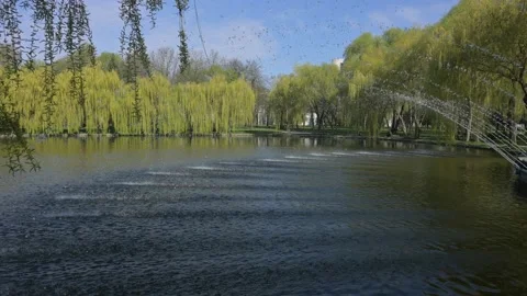 Fountain Stock Footage 189269034