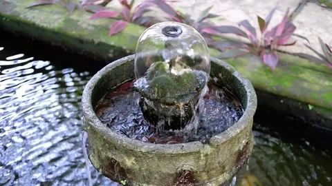 Fountain Stock Footage 240804529