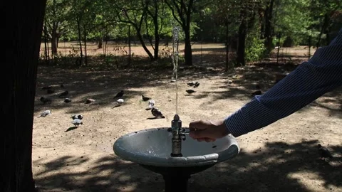 Fountain Stock Footage 251011623