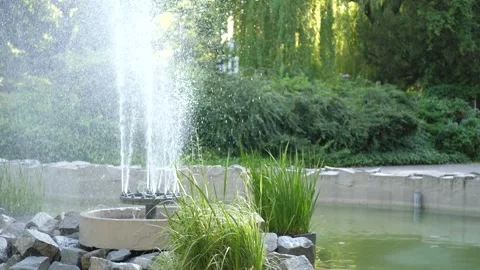 Fountain Stock Footage 313825781