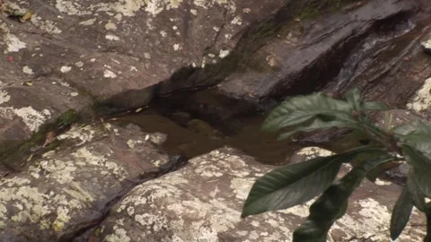 Fountain Stock Footage 315790313