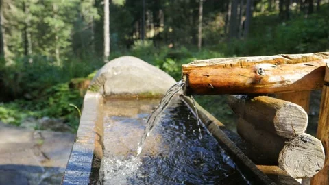 Fountain in a forest 2 Stock Footage 145324477