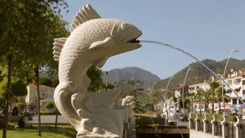 Fountain in the form of fish Stock Footage