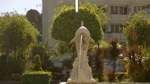 Fountain in the form of fish Stock Footage 76983524