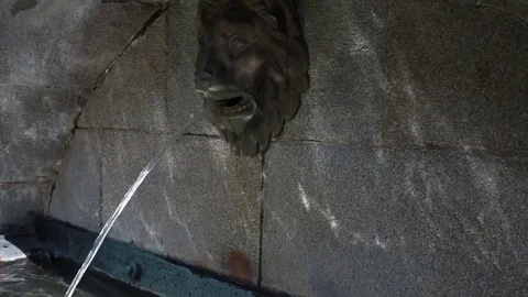 Fountain in the form of a lion Stock Footage 77754342