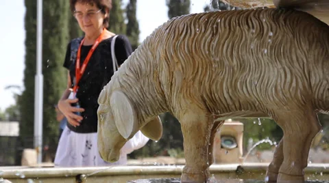 Fountain in the form of sheep Stock Footage 32155410