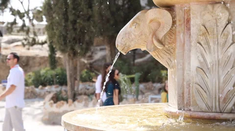 Fountain in the form of sheep Stock Footage 32155412