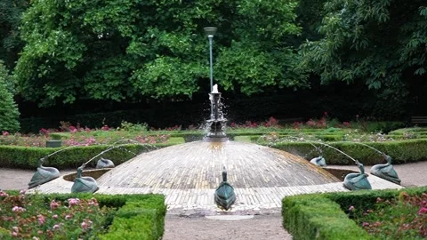 Fountain in the form of a swan in the park Stock Footage 248314489