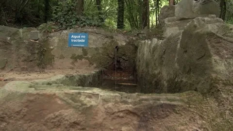 Fountain fresh water moss stone forest mountain countryside trees nature Stock Footage 330952039