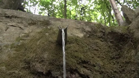 Fountain fresh water moss stone forest mountain countryside trees low angle Stock Footage 330960241