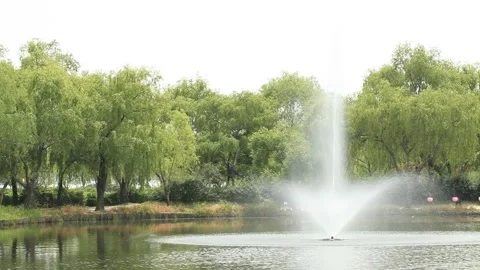 Fountain in front of a green forest	 Vídeos de archivo 305820708