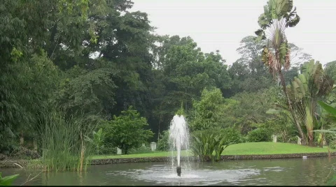 Fountain in Garden Stock Footage 736836