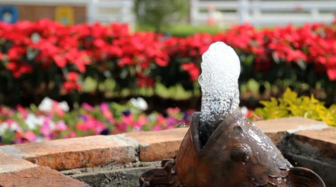 Fountain in garden Stock Footage 33309445