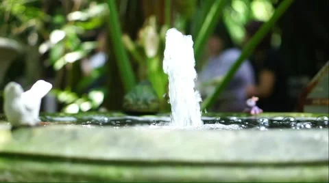 Fountain in the garden Stock Footage 50632829