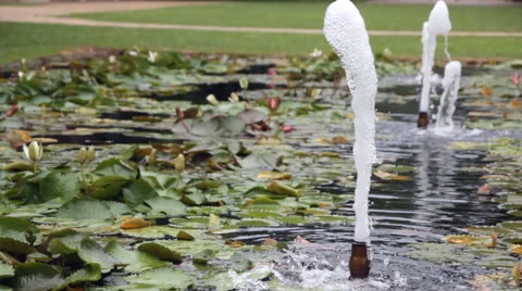 Fountain in garden Video stock 60608743