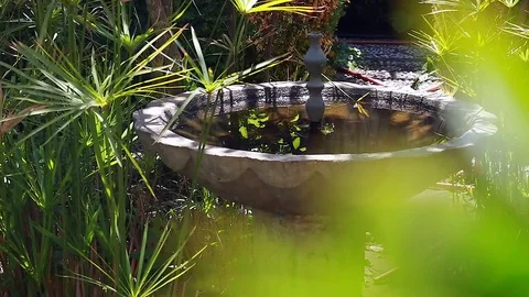 Fountain in the Garden Stock Footage 74919244