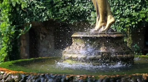 Fountain in garden (vertical panorama) Stock Footage 8762850