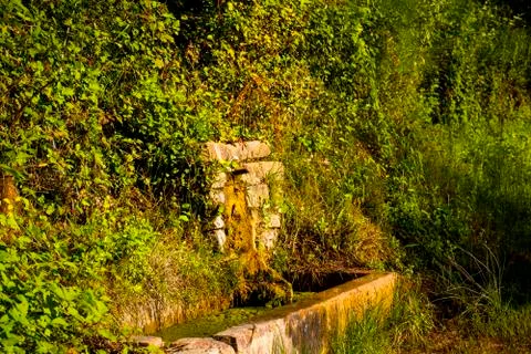 Fountain in the green Stock Photos