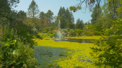 Fountain inside the pond in the park Stock Footage 63388002