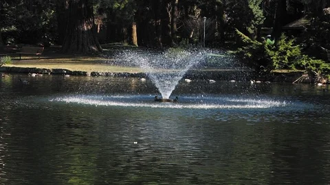 Fountain in the lake Stock Footage 126015485