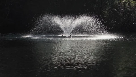Fountain in the lake Stock Footage 126015514