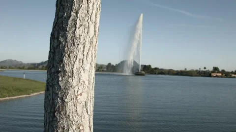 Fountain on Lake Tree in Foregound Stock Footage 199512653