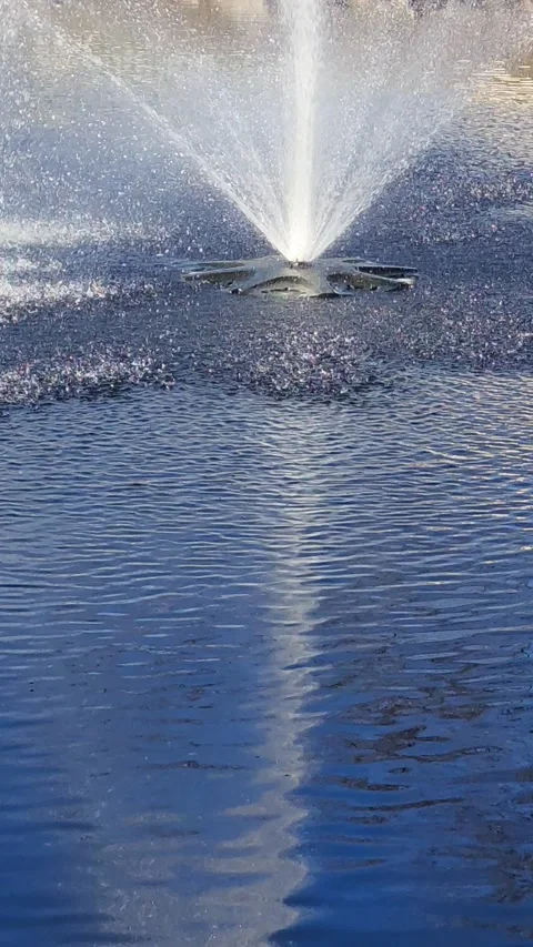 Fountain in a lake verticle mobile background video Stock Footage 221287635