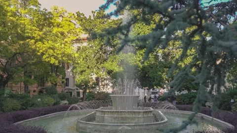 Fountain landscape detail in Rovigo, Italy. Old marble fountain Stock Footage 164100244