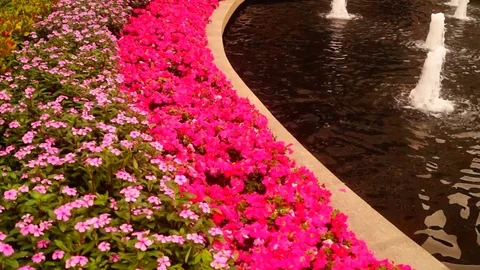 Fountain landscape Stock Footage 73444213