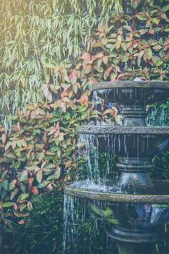 Fountain with leaf background Stock Photos