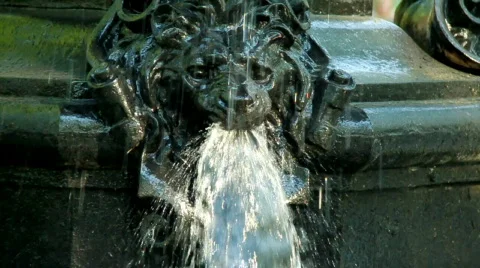 Fountain lion Vídeo Stock 704268