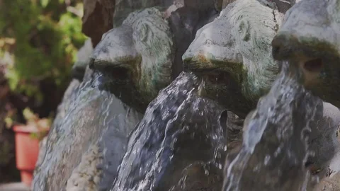 Fountain With Lion Heads Stock Footage 80669213