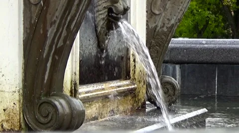 Fountain lions. Stock Footage 54273490