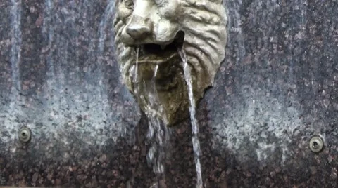 Fountain lions. Stock Footage 54304122