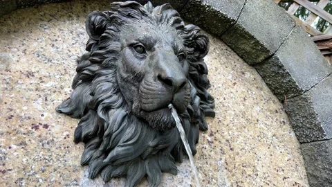 Fountain Lion's head close-up it is iron on a stone wall from the mouth a jet of Vidéo 201579958