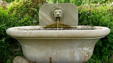 Fountain with a lion's head Stock Footage 128655657
