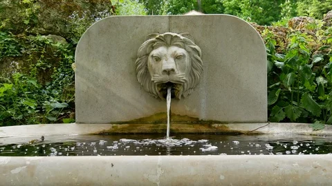 Fountain with a lion's head Stock Footage 128655803