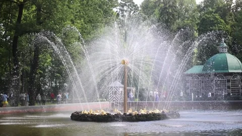 Fountain in the Lower Park of Peterhof, Saint Petersburg Stock Footage 315536569