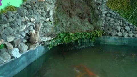 Fountain Magic: Capturing Water in Motion Stock Footage 313570682