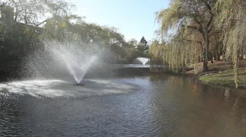 Fountain in Middle of Pond Stock Footage 20482981