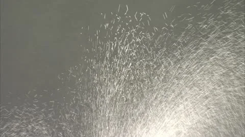 FOUNTAIN MIST Stock-Footage 10603676