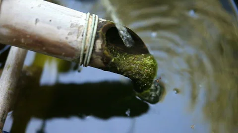 Fountain with moss Stock Footage 710665