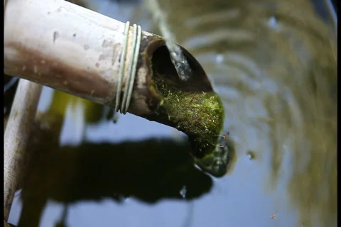 Fountain with moss ntsc Stock Footage 710658