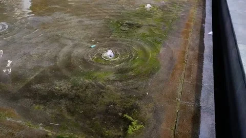 A fountain in a mossy pool of water 스톡 동영상 293667339