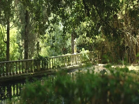 The fountain in the old park Stock Footage 74656053