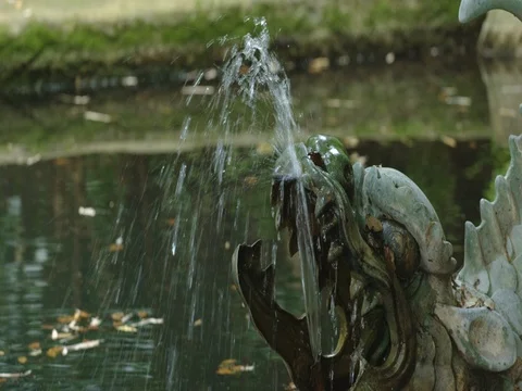 The fountain in the old park Stock Footage 74687292