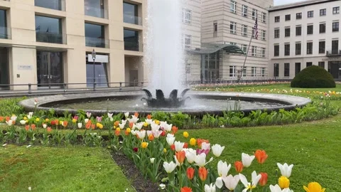 Fountain at Pariser Platz in Berlin Video stock 250192898
